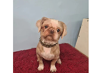 Lynn's Grooming Parlour