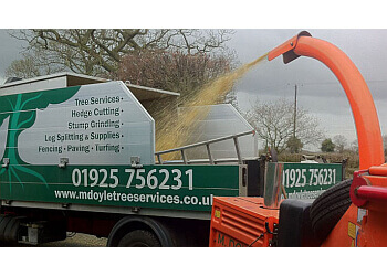 3 Best Tree Services In Warrington Uk Expert Recommendations