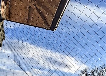 MJ Backhouse Pest Control Harrogate