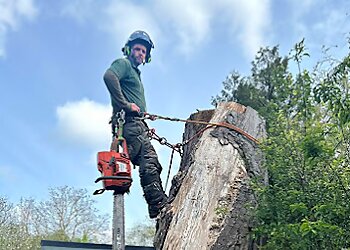 M.J.C Tree Care