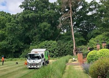 M & J Tree Specialists Ltd.