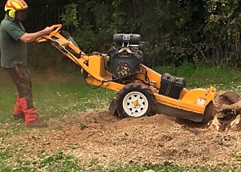 M & J Tree Specialists Ltd.