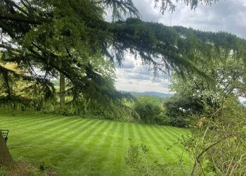 M Landscape Uk Contractors Ltd