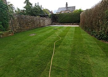 M&M Gardening Services