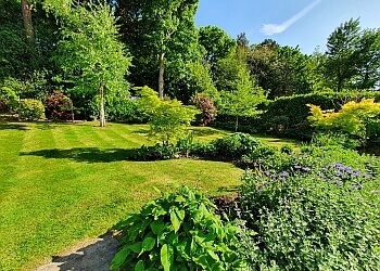 MR Landscape & Garden Maintenance Ltd.