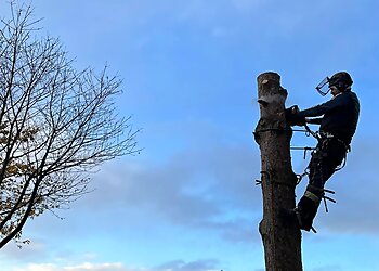 MTS Tree Services Ltd