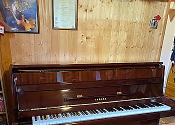 Man with a Bleddy Van Removals