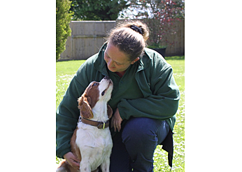 Maccabee's Pet Hotel