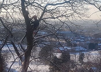 Macclesfield Tree Surgeons Ltd