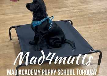 Mad4mutts Dog Training