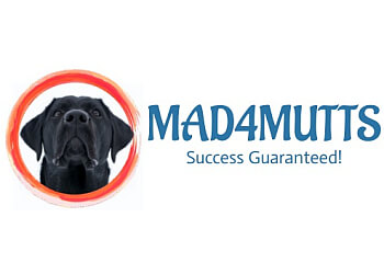 Mad4mutts Dog Training