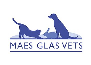 Maes Glas Vets