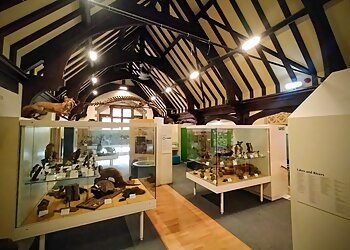 Maidstone Museum