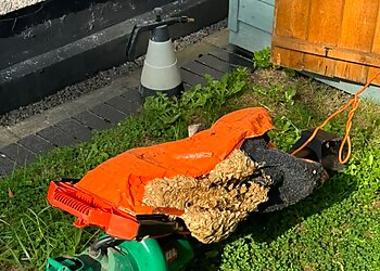 Malpass Pest Solutions