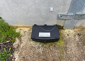 Malpass Pest Solutions