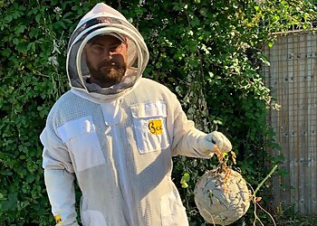 Malum Southern Pest & Bird Control