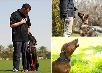 Manchester Dog School