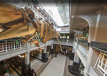 Manchester Museum