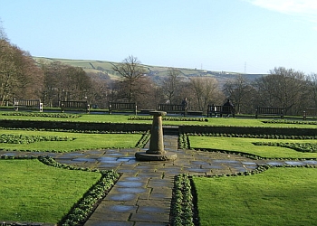 Manor Heath Jungle Experience