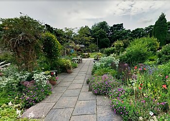 Manor Heath Jungle Experience