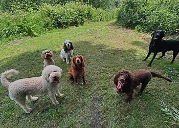 Leeds dog walkers Man's Best Friend image 1