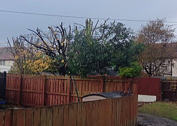 Maple Tree & Gardening Services