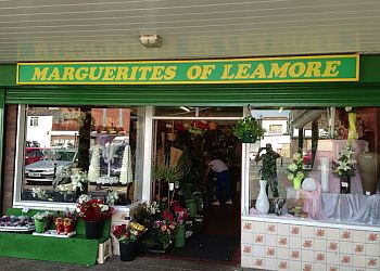 Marguerites Of Leamore