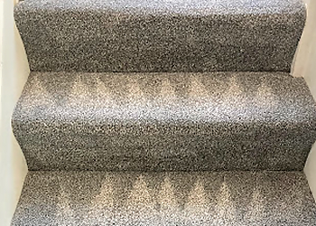 Mario Carpet & Upholstery Cleaners