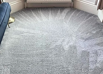 Mario Carpet & Upholstery Cleaners