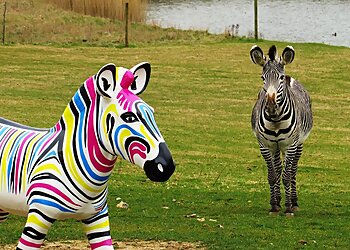 Marwell Wildlife
