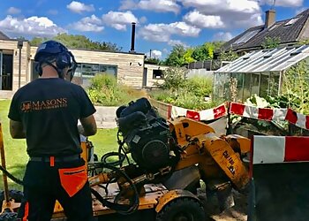 Masons Tree Surgery Ltd.