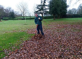 Matt Hart Gardens & Landscaping