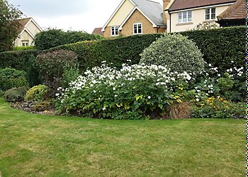 Matt Hart Gardens & Landscaping