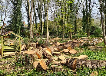 Matt Sellars Tree Surgeon