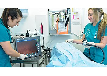 Maven Veterinary Care