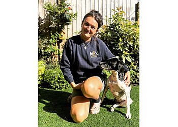 Max Canine Dog Trainer & Behaviourist