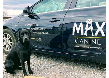 Max Canine Dog Trainer & Behaviourist