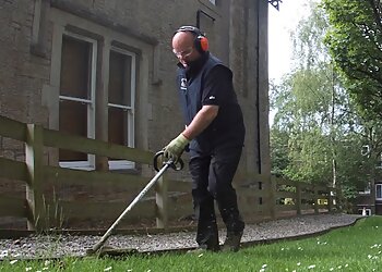 Maxwells Lawn Treatment Services