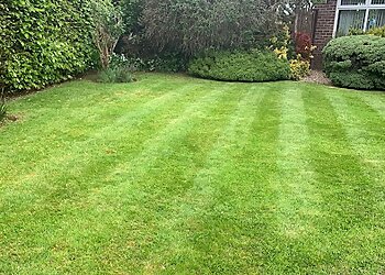 Gateshead lawn care Maxwells Lawn Treatment Services image 1