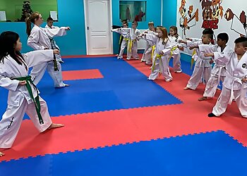 McGowans Black Belt Academy