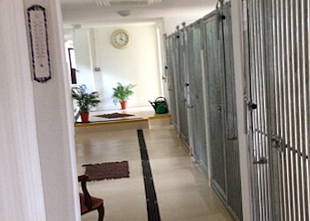 Meadow View Boarding Kennels