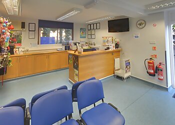 Medivet 24 Hour Southend