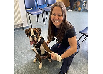 Medivet 24 Hour Southend