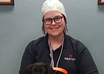 Medivet 24 Hour Swanland