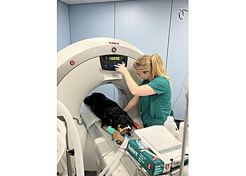 Medivet 24 Hour Swanland