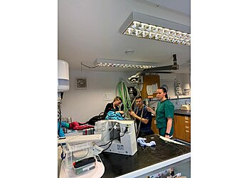 Medivet St Ives Cambridge