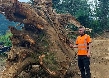 Mence and Clark Tree Services