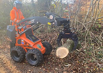 Mence and Clark Tree Services