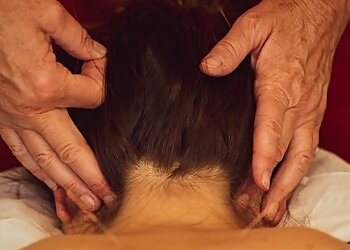 Meridian Health Acupuncture