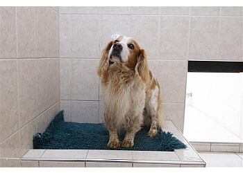 Meriroyles Luxury boarding kennels